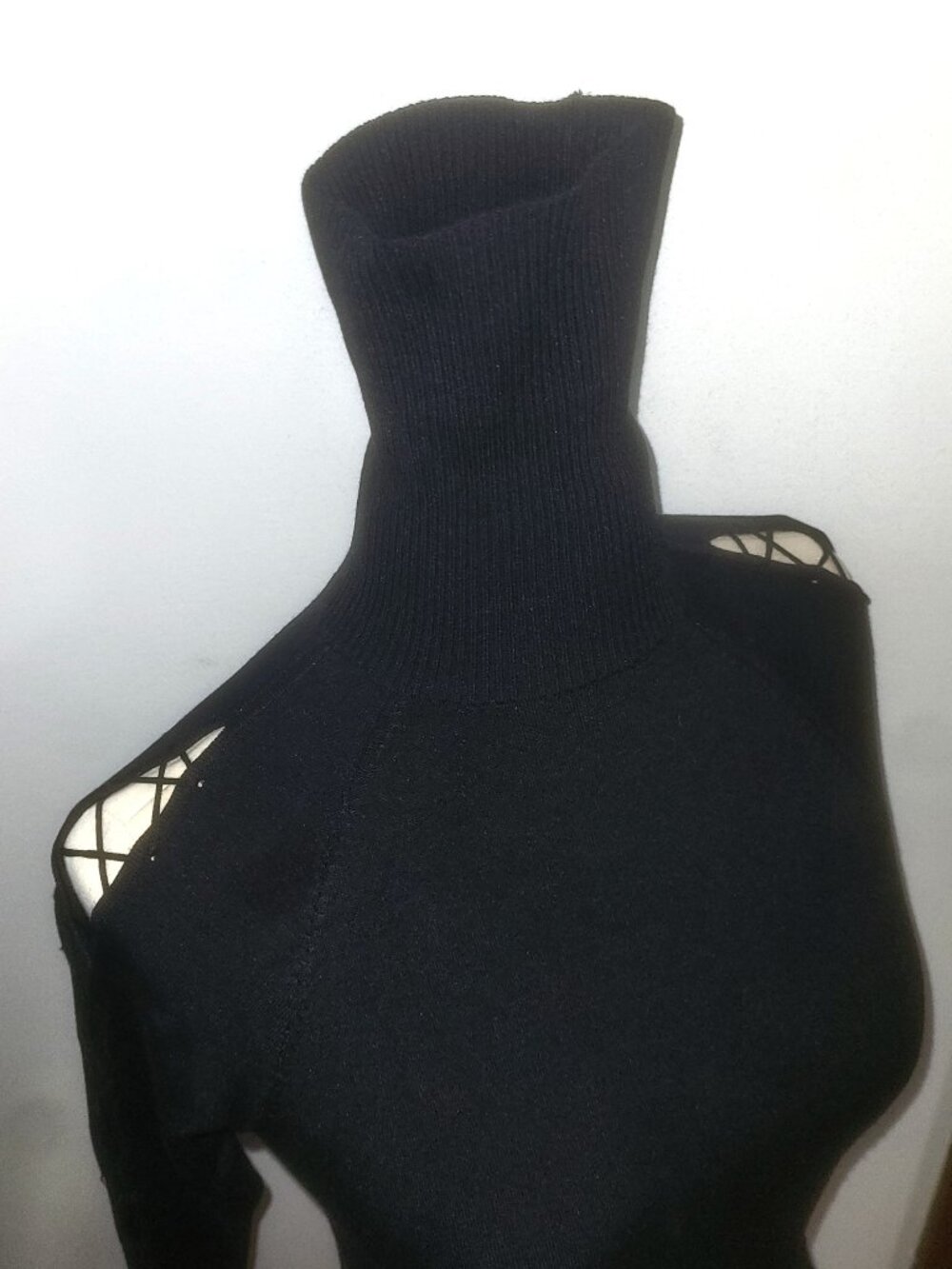 S Cache SILK Turtleneck